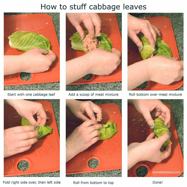 Golabki (Polish Stuffed Cabbage) Recipe from domesticsoul.com